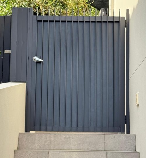 WhatsApp Image 2026-02-11 at 06.59.14