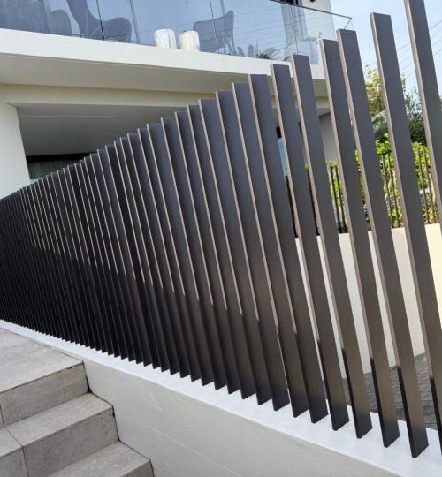 WhatsApp Image 2026-02-11 at 06.59.37