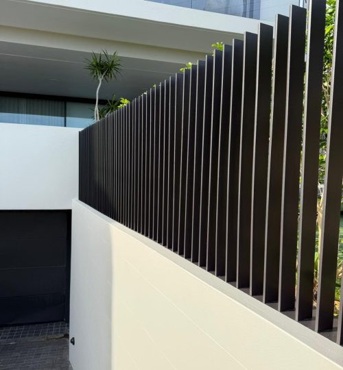 WhatsApp Image 2026-02-11 at 06.59.38